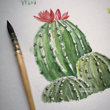 Load image into Gallery viewer, Potted Print Gift set (Cactus Print & Log Print and Pen Holder)