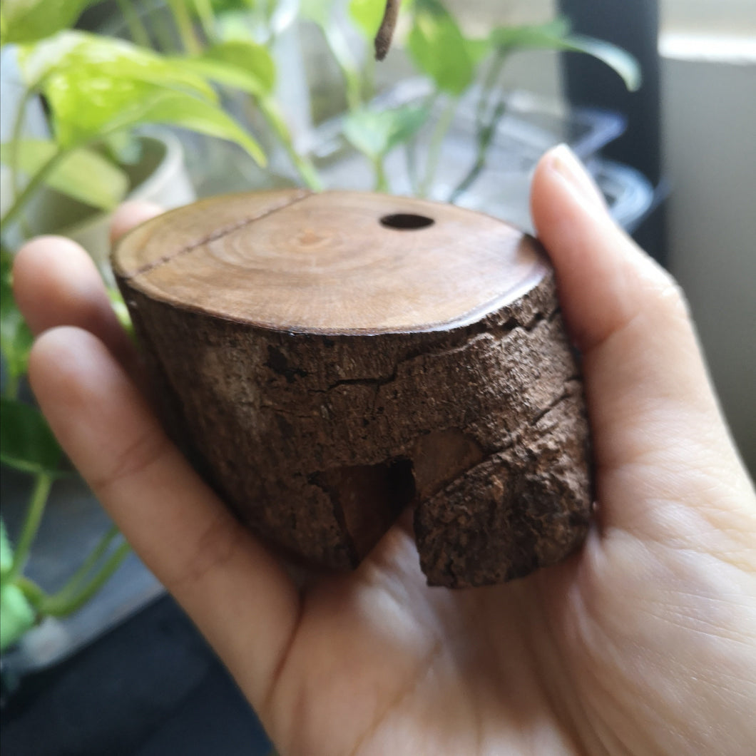 Log Print & Pen Holder
