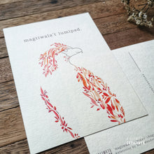 Load image into Gallery viewer, (LIMITED EDITION)-Bahaghari Postcard set-(mixed)
